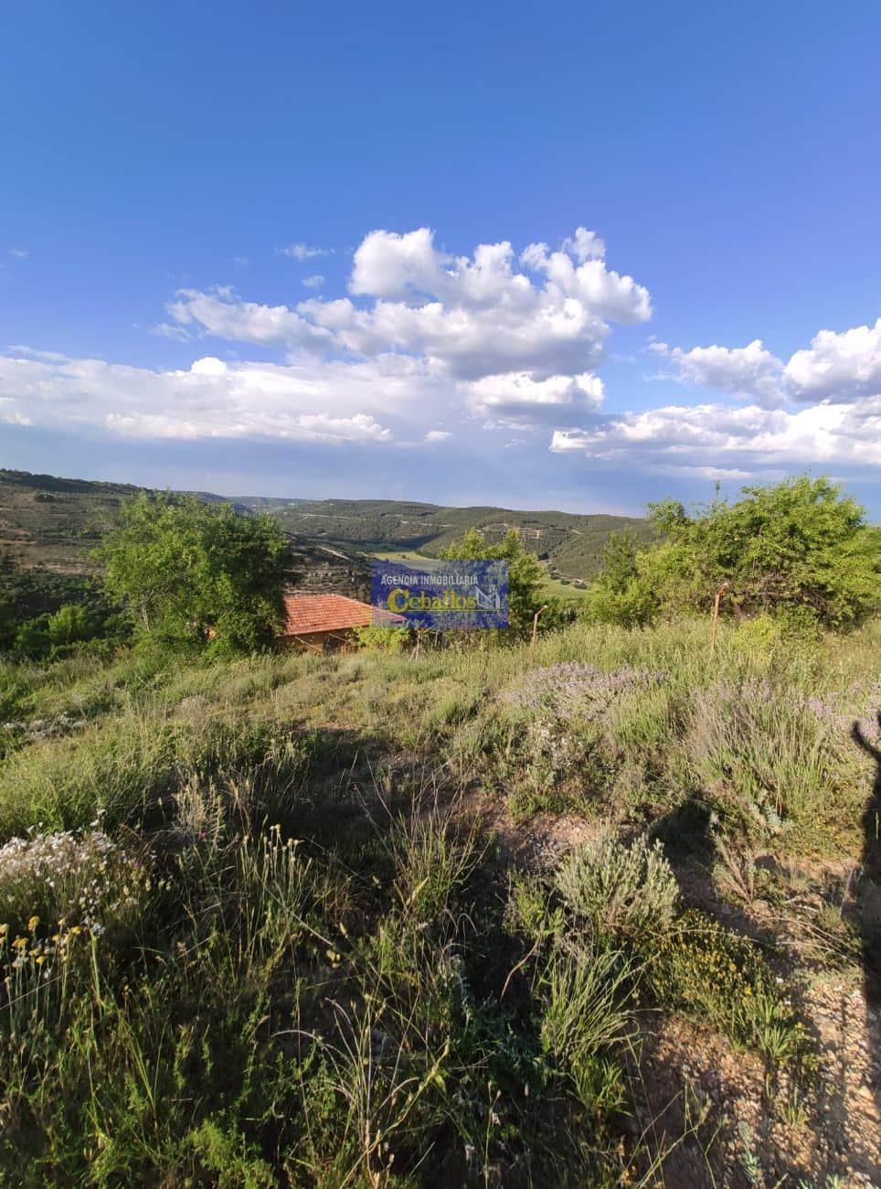 Terreno - Camino La Pililla - Horche - Foto 3