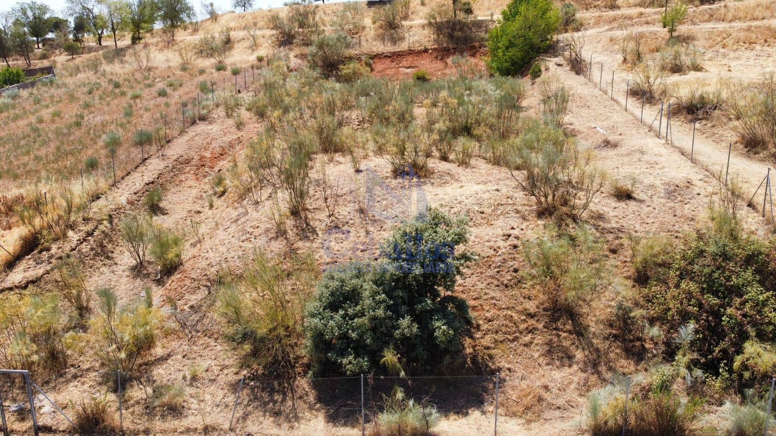 Terreno - Cabanillas Del Campo - Foto 1