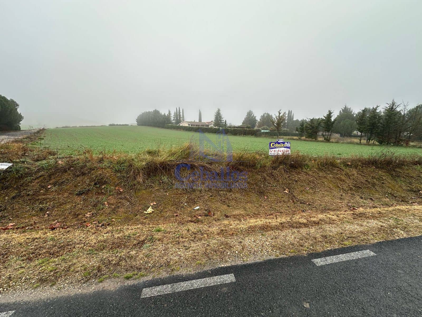 Terreno - Heras De Ayuso - Foto 1