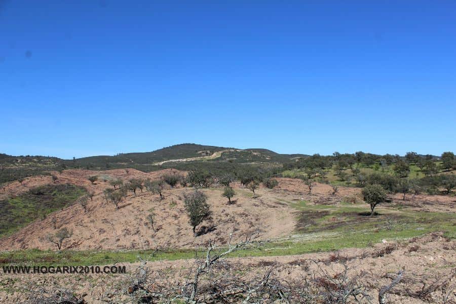 Terreno en venta en Sierra Aracena-picos Aroch, Almonaster la Real - Foto 5