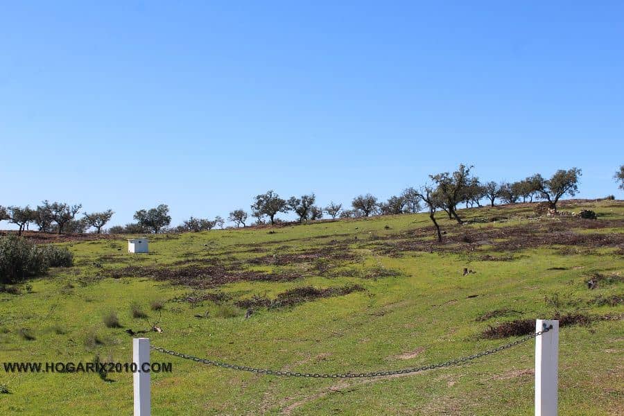 Terreno - Sierra Aracena-Picos Aroch, Almonaster La Real - Foto 1