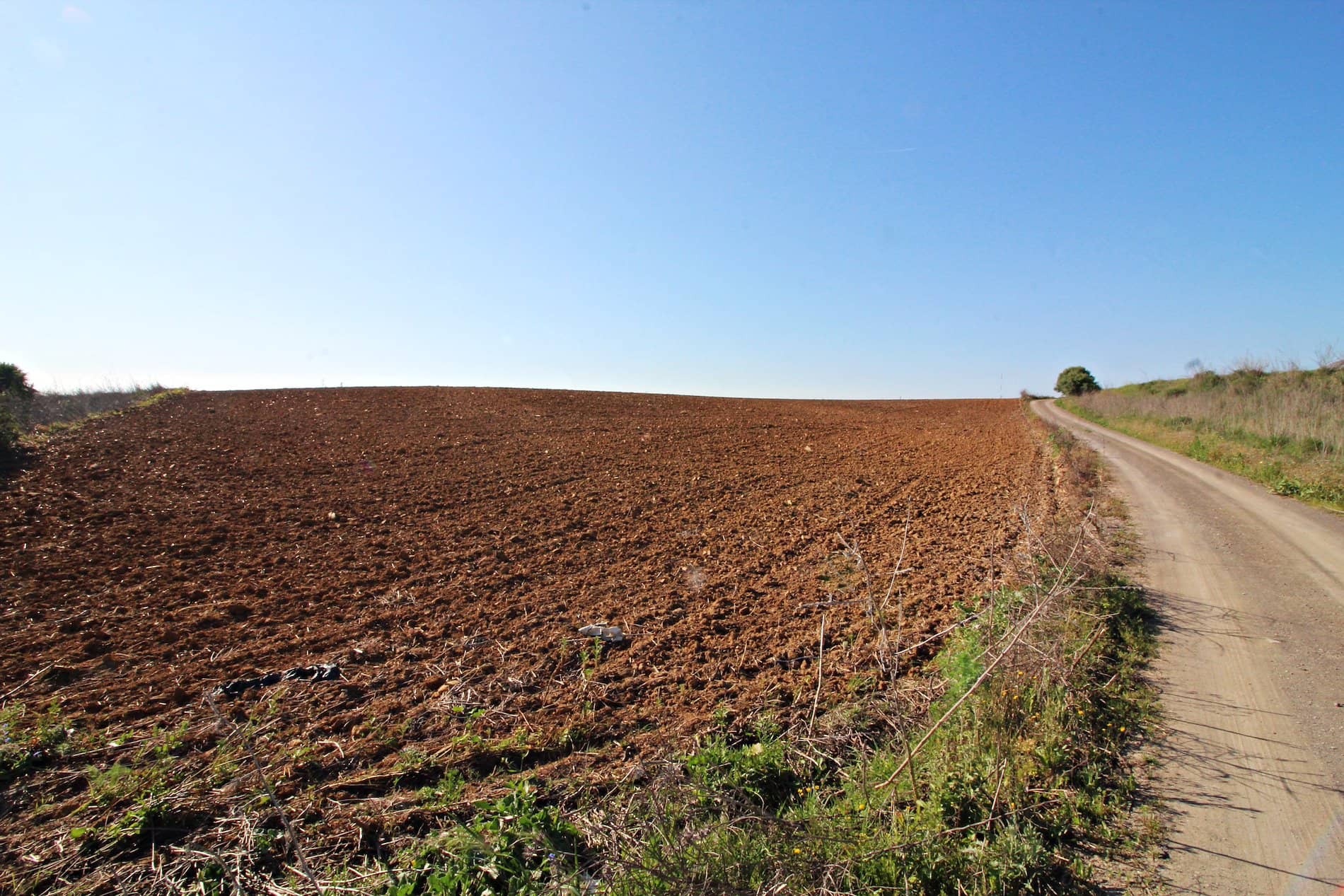 Terreno - Huelva - Foto 1