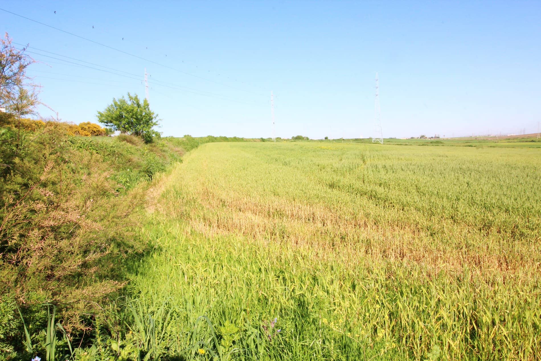Terreno - Huelva - Foto 1