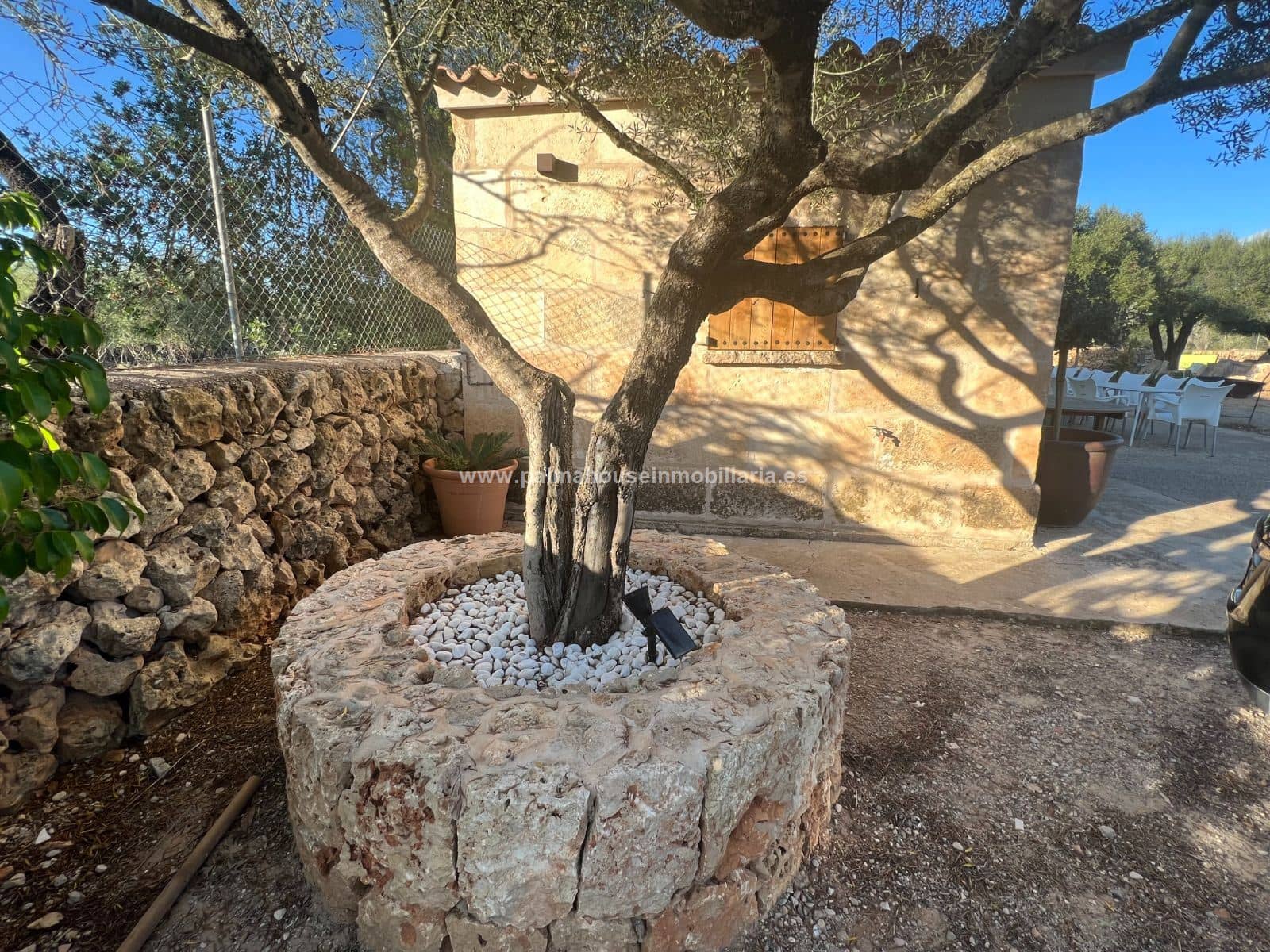 Terreno - Santa Margalida - Foto 1