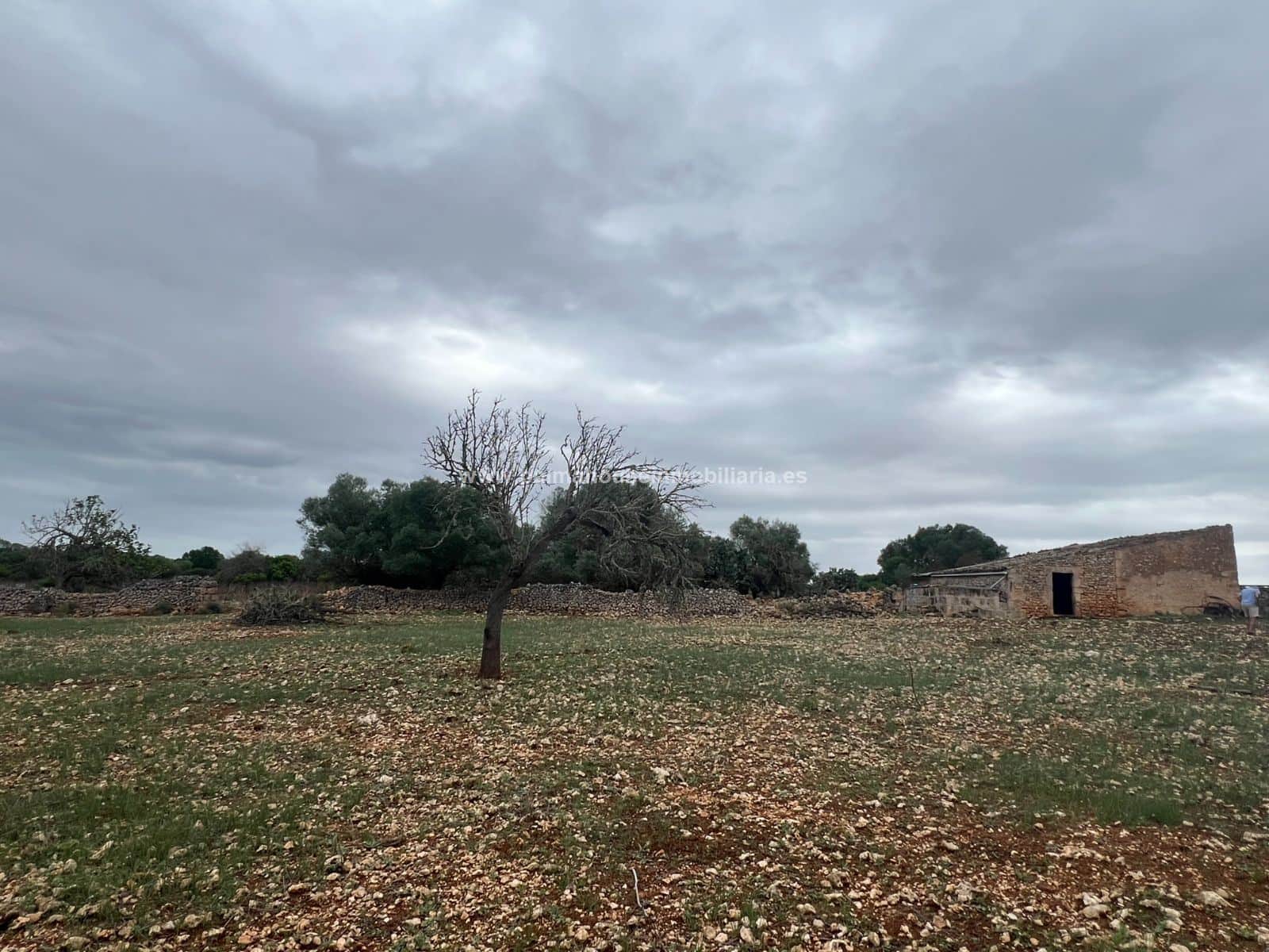 ESPECTACULAR RUSTICA EN CENTRO DE LA ISLA!! - Foto 5