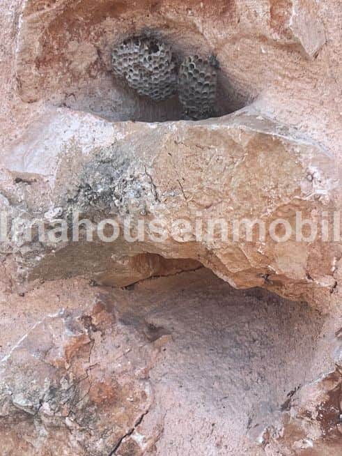 RUSTICA CON DOS CONSTRUCCIONES A MEDIO REFORMAR CON ENCANTO - Foto 5