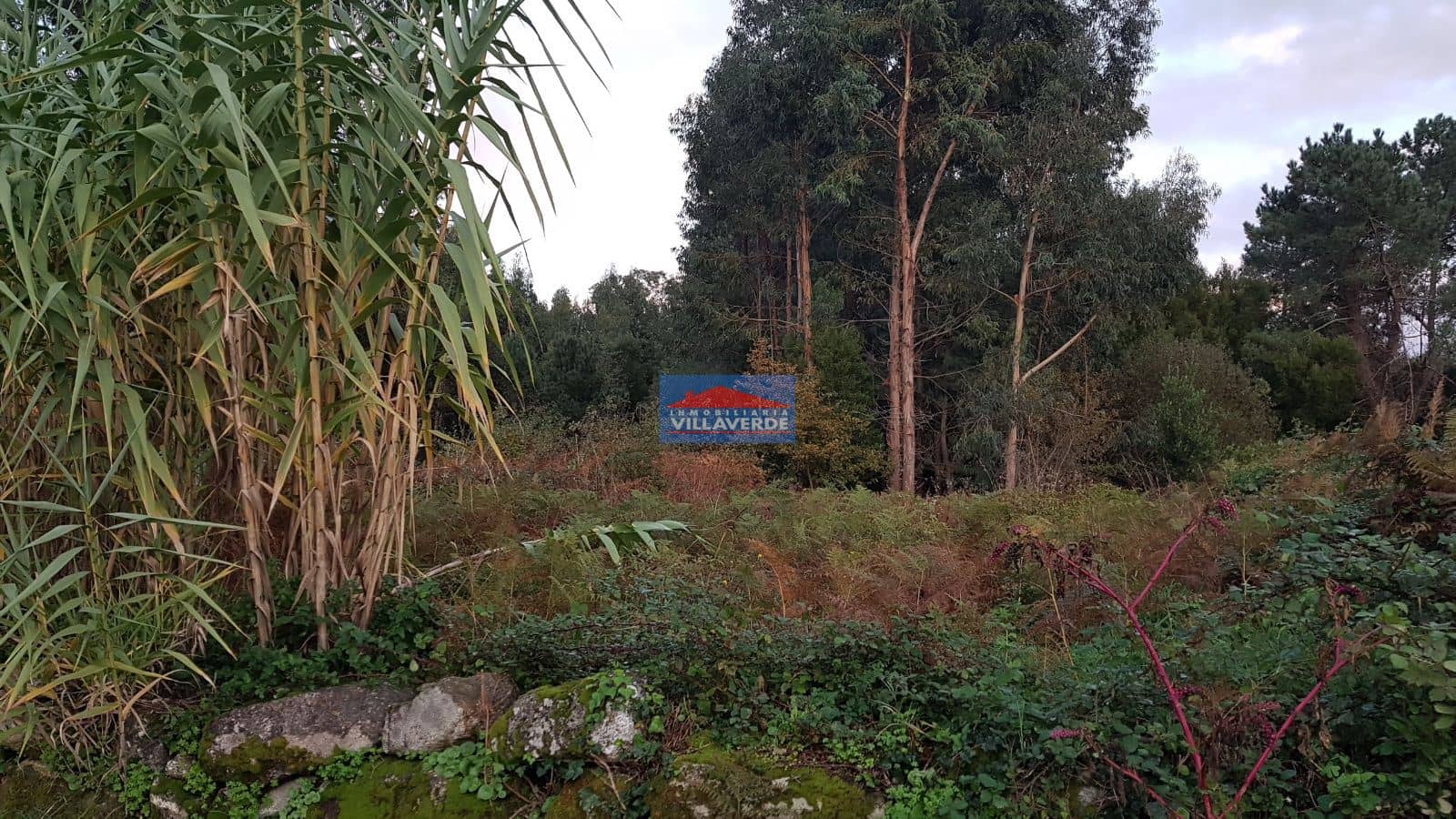 Terreno - Cangas - Foto 1