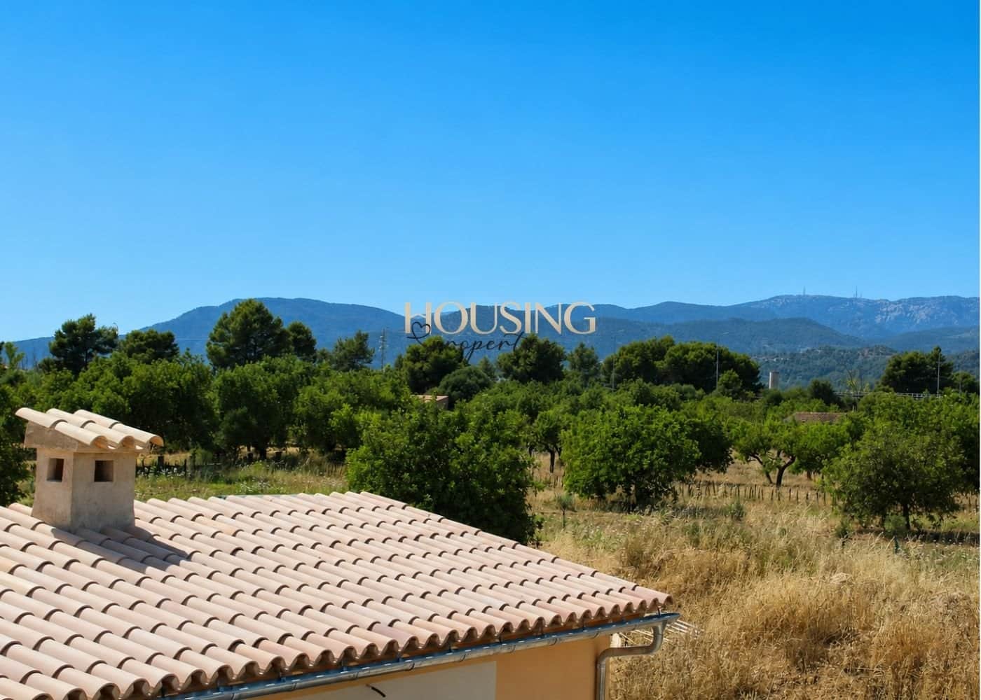 Finca rústica en alquiler en Consell - Foto 4