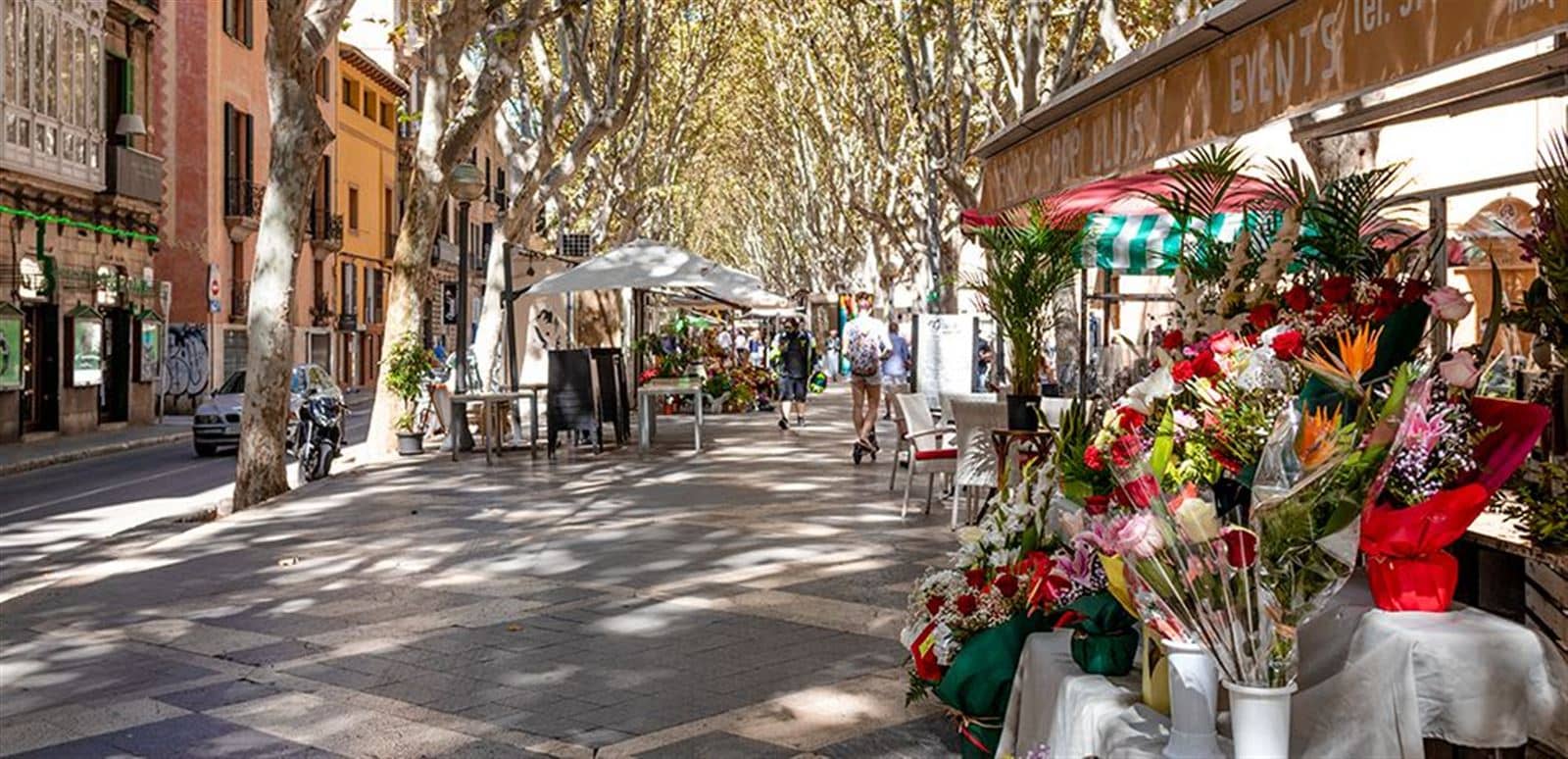 Edificio - La Rambla, Palma De Mallorca - Foto 1