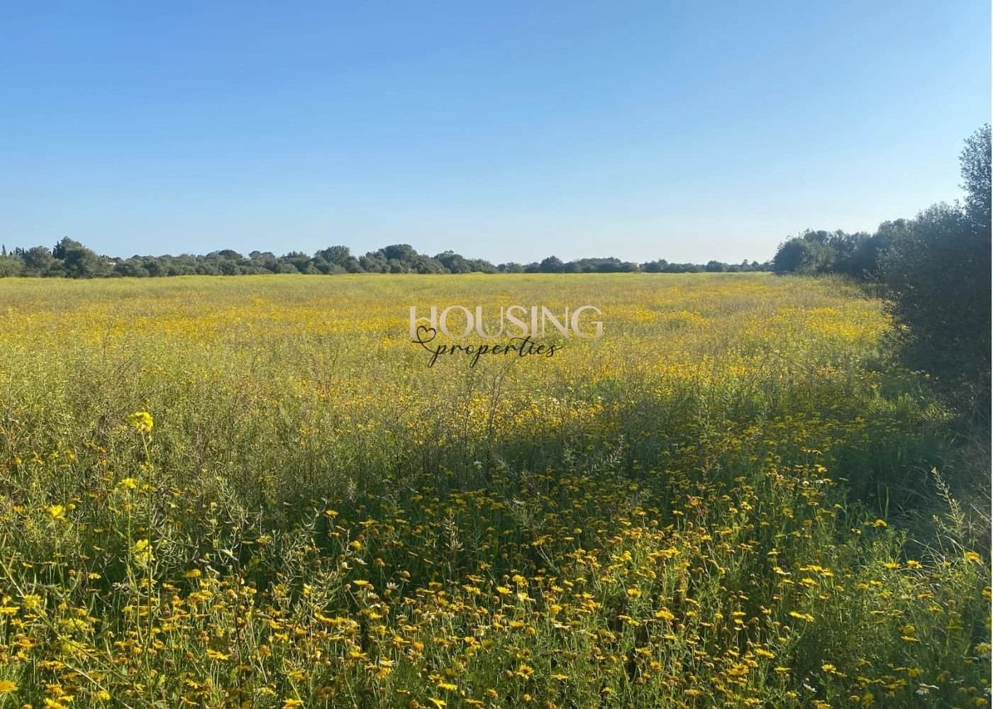 Terreno en venta en Llucmajor - Foto 4