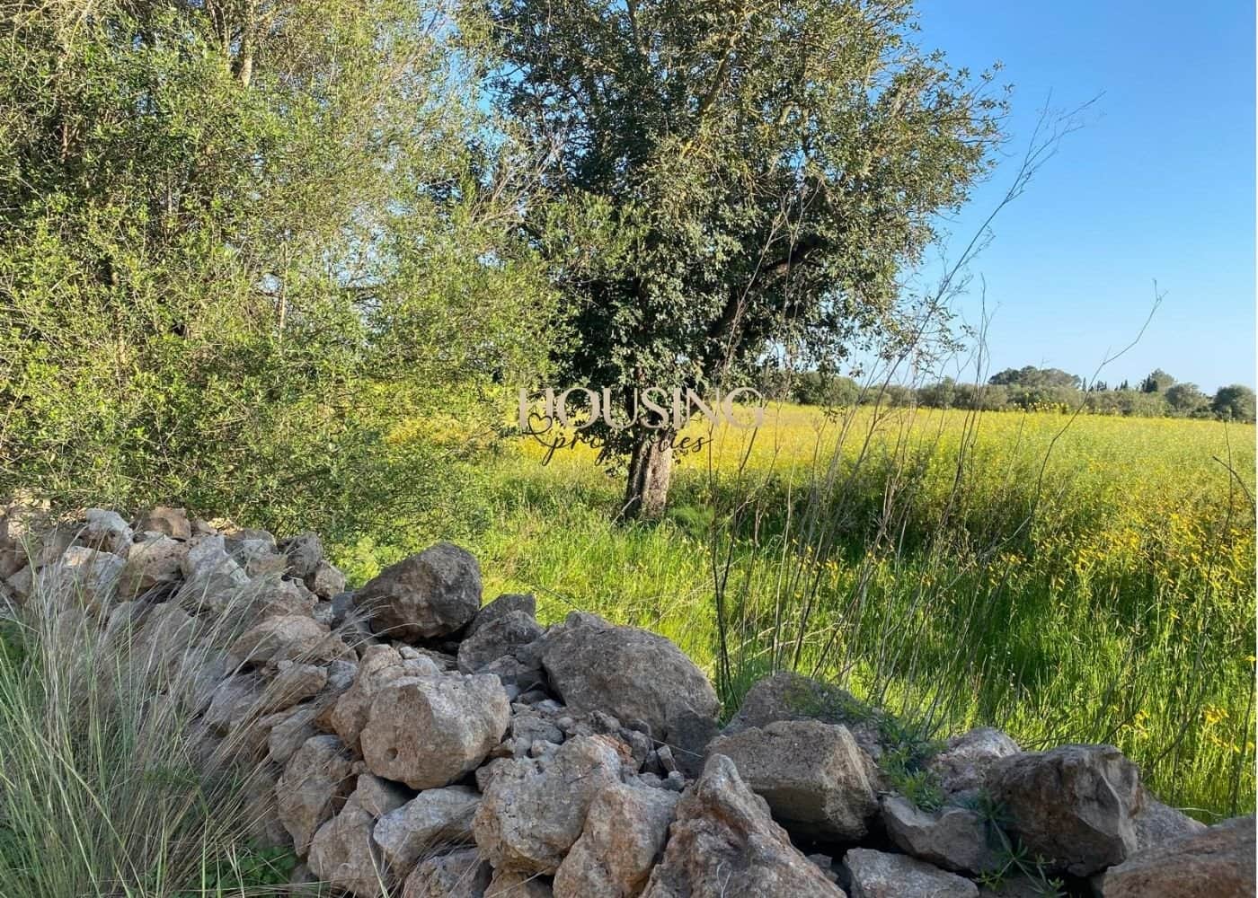 Terreno en venta en Llucmajor - Foto 2