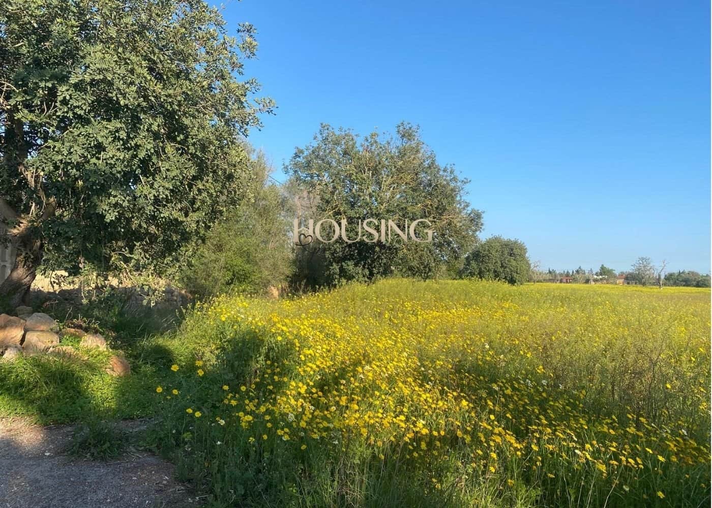 Terreno en venta en Llucmajor - Foto 5