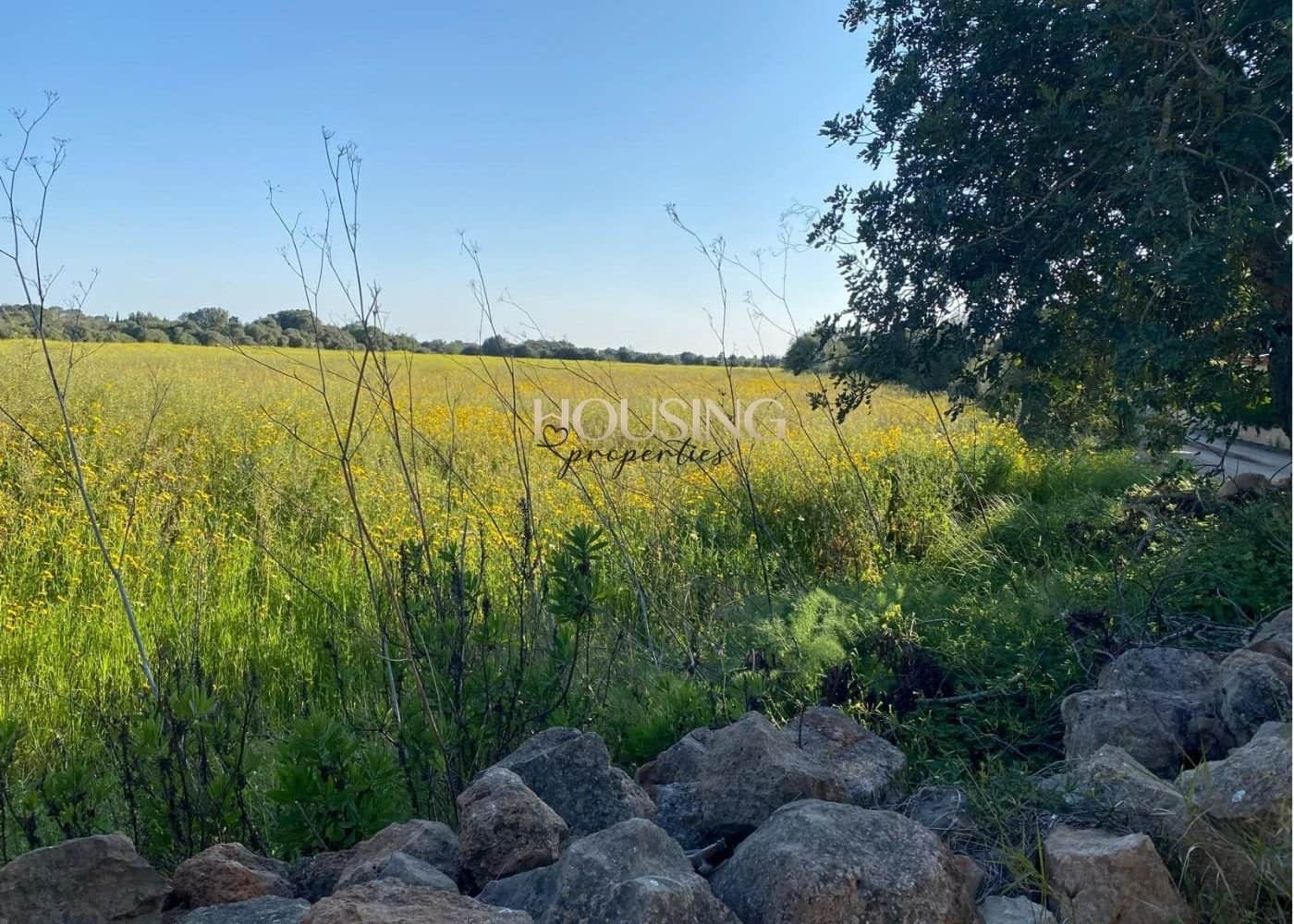 Terreno en venta en Llucmajor - Foto 3