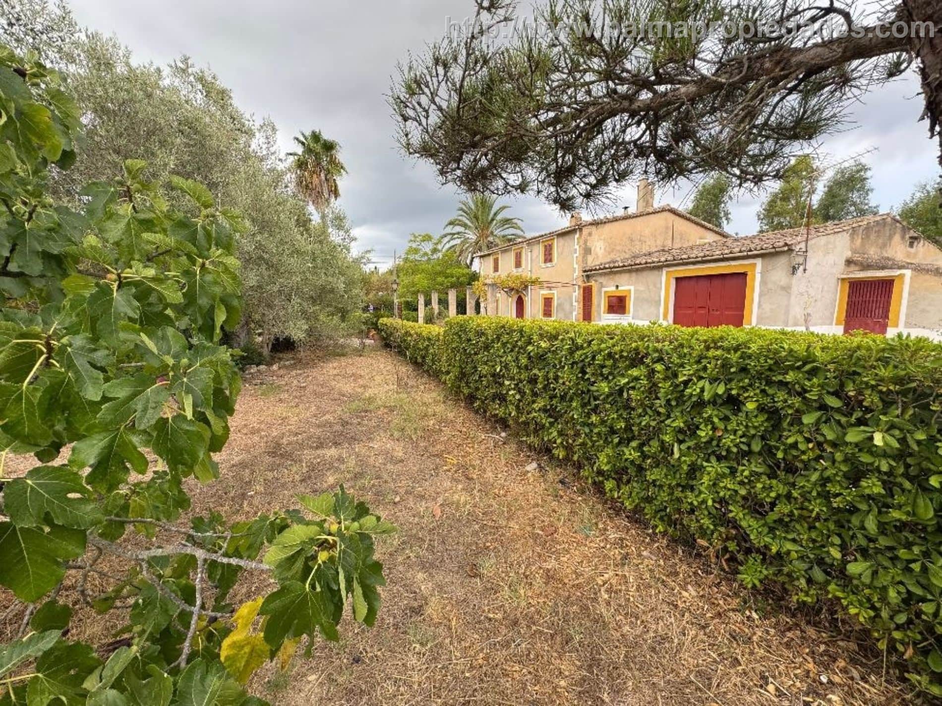 Finca rústica en venta en Establiments, Palma de Mallorca - Foto 3