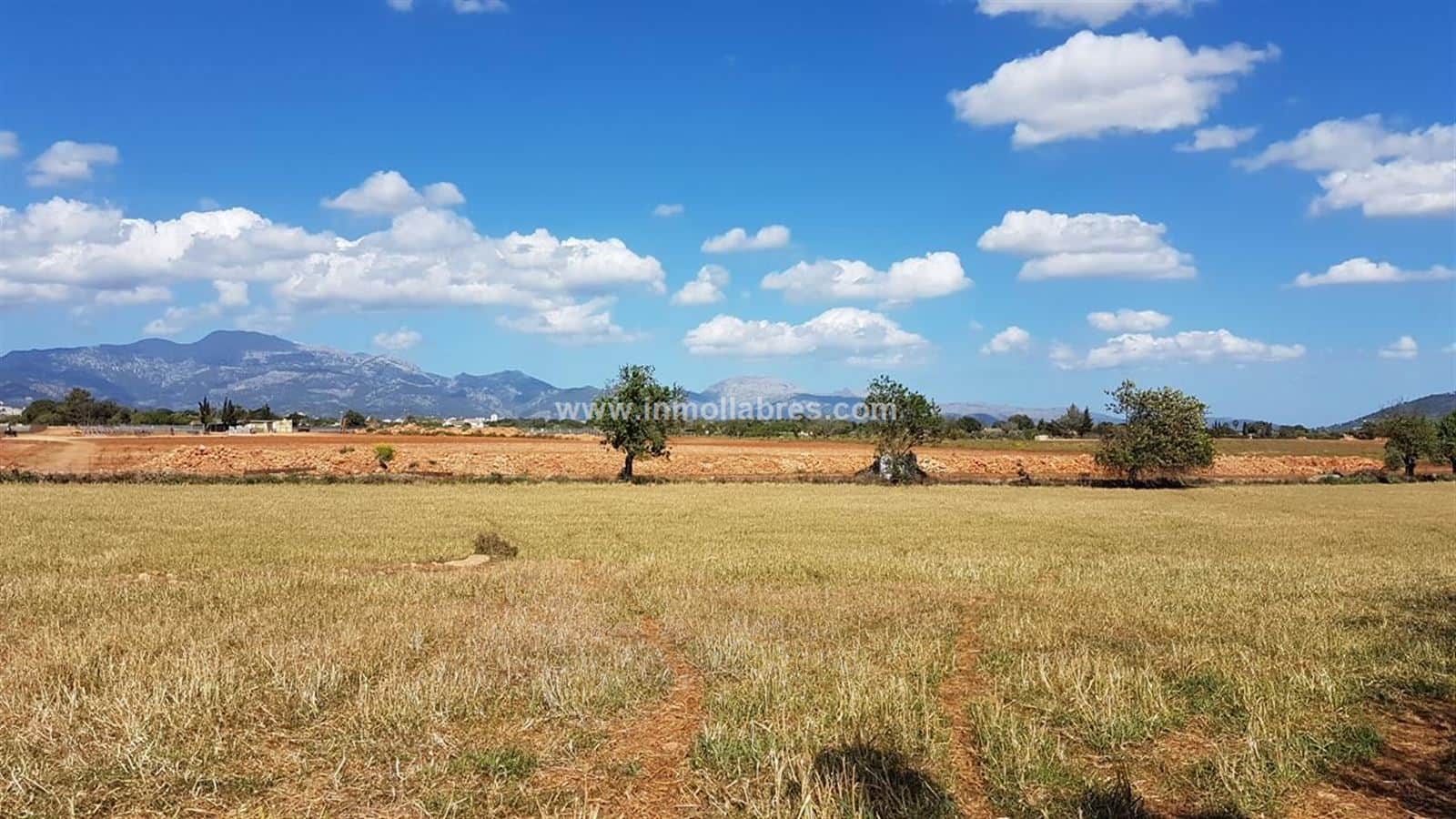 Finca rústica en venta en Pueblo, Sencelles - Foto 3