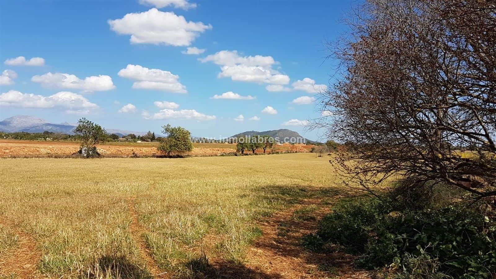 Finca rústica en venta en Pueblo, Sencelles - Foto 4