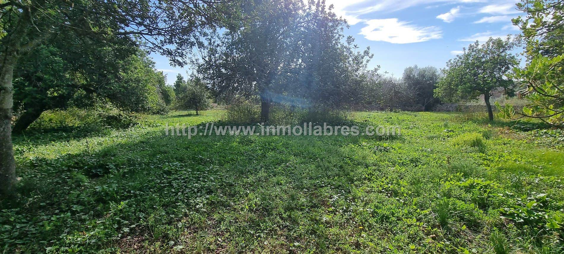 Finca rústica en venta en Pueblo, Sencelles - Foto 5
