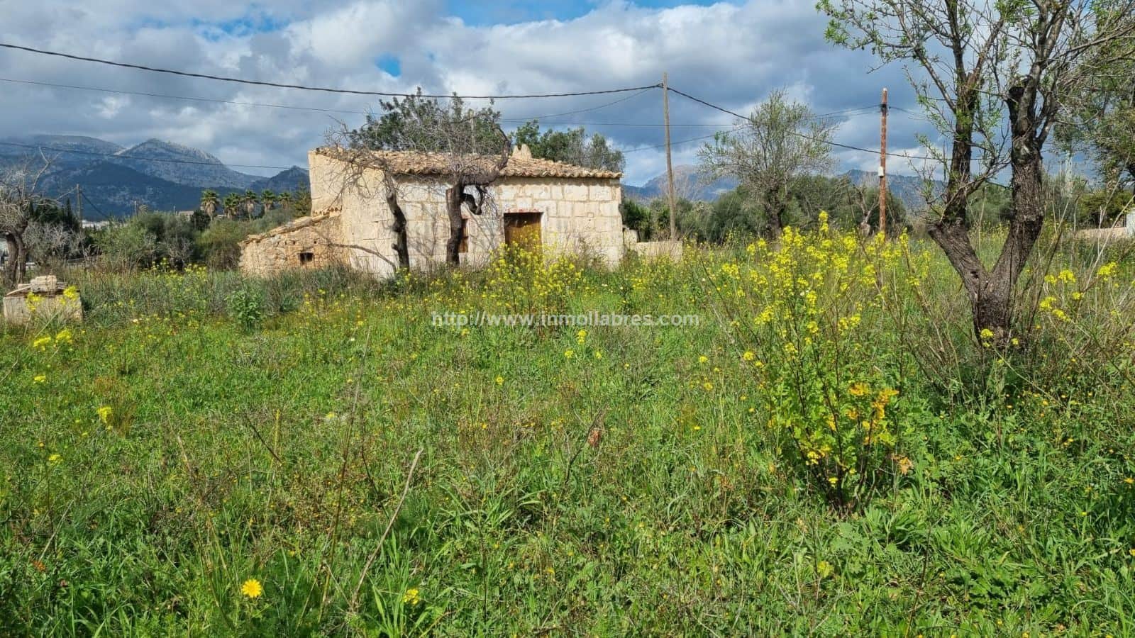Finca rústica en venta en Selva - Foto 3