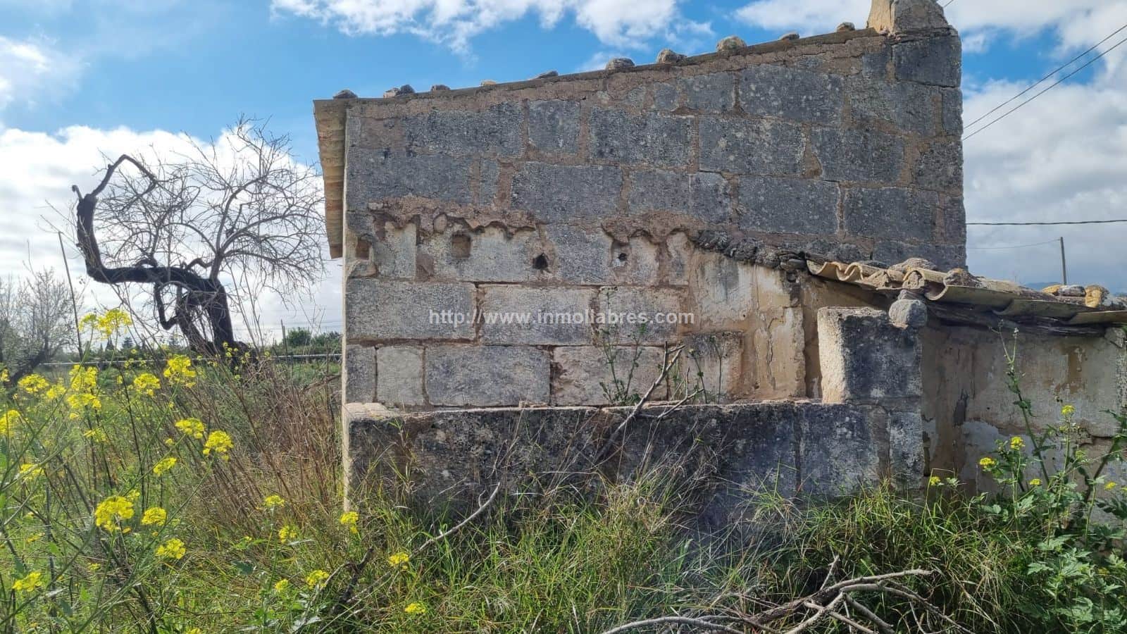 Finca rústica en venta en Selva - Foto 5