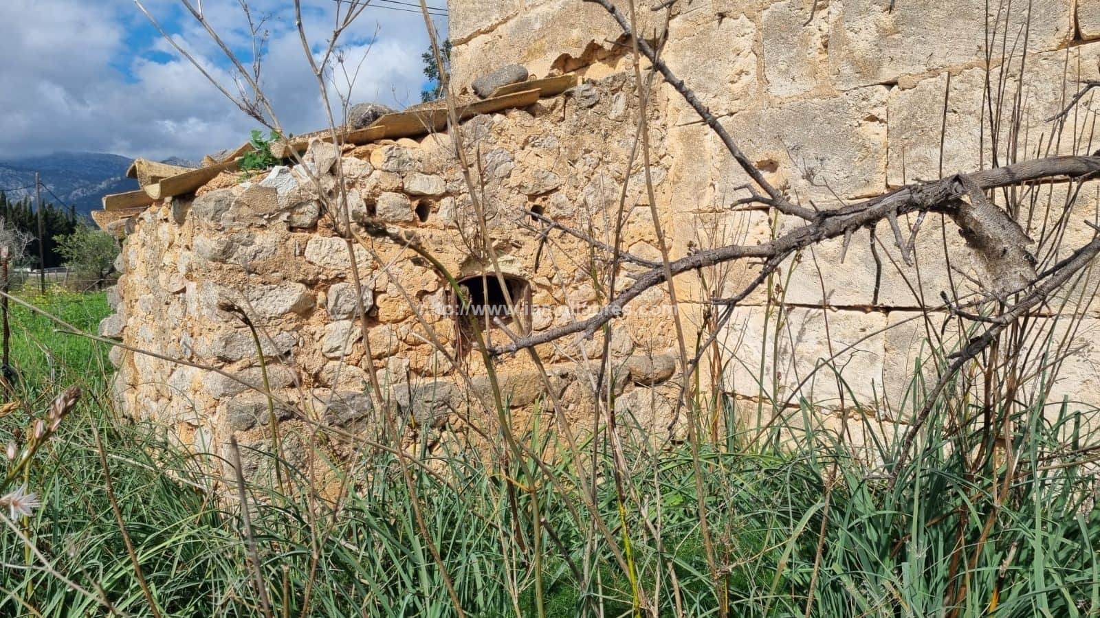 Finca rústica en venta en Selva - Foto 4