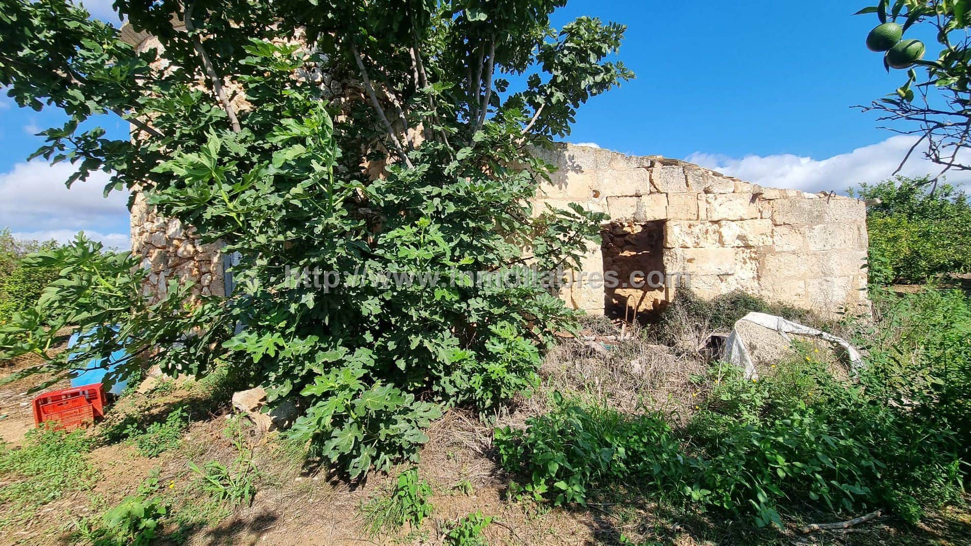 Finca rústica en venta en Afueras, Muro - Foto 3
