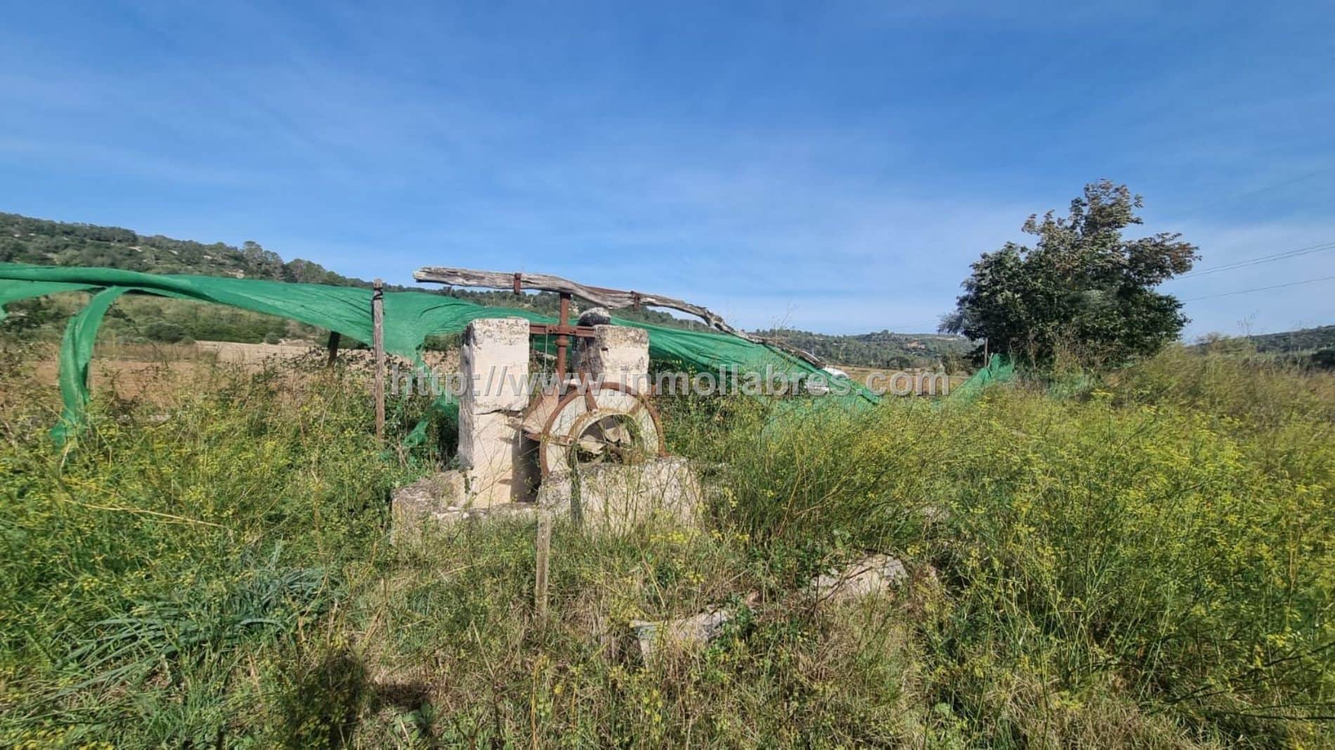 Finca rústica en venta en Petra - Foto 4
