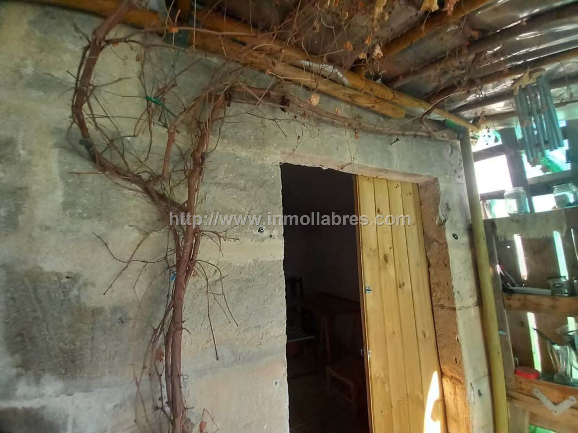 Finca rústica en venta en Petra - Foto 2