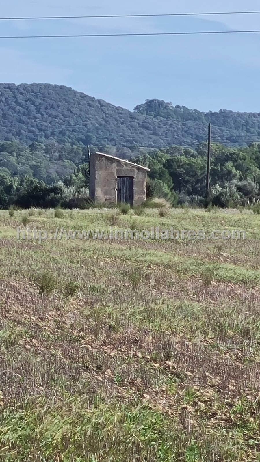 Finca rústica en venta en Manacor, Manacor - Foto 3