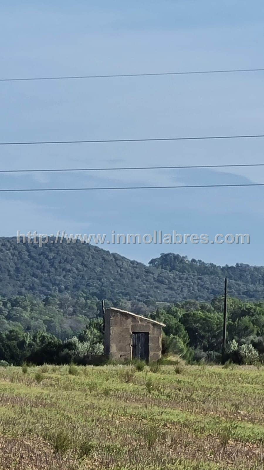Finca rústica en venta en Manacor, Manacor - Foto 5