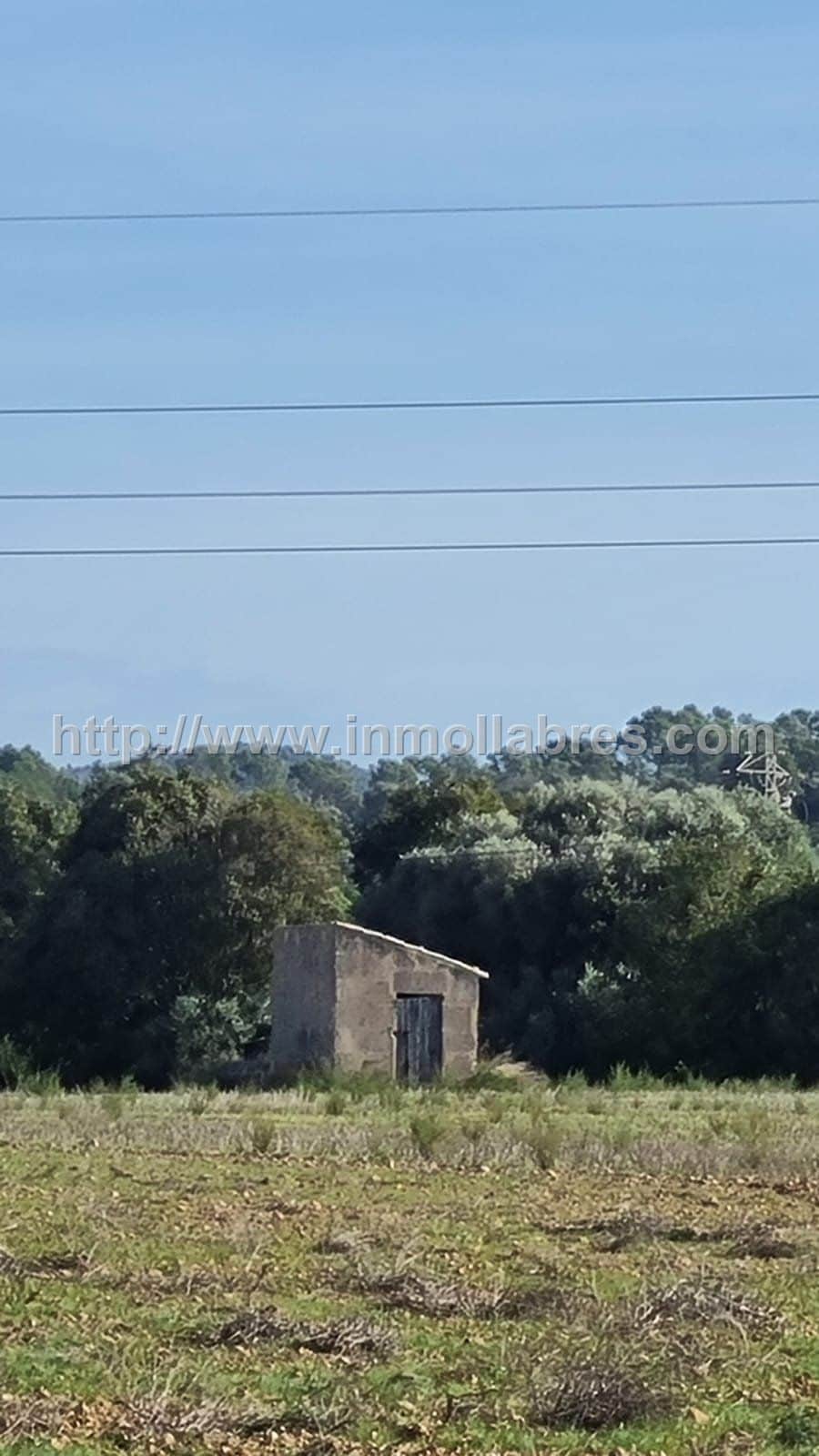 Finca rústica en venta en Manacor, Manacor - Foto 4