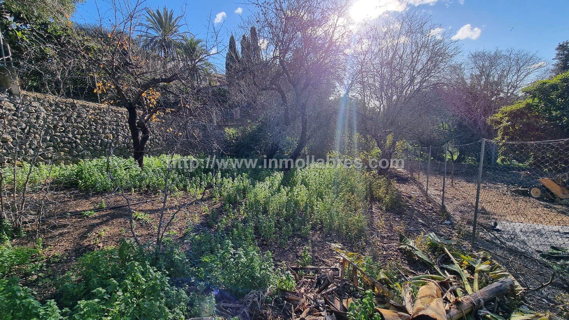 Casa de pueblo en venta en Campanet - Foto 5