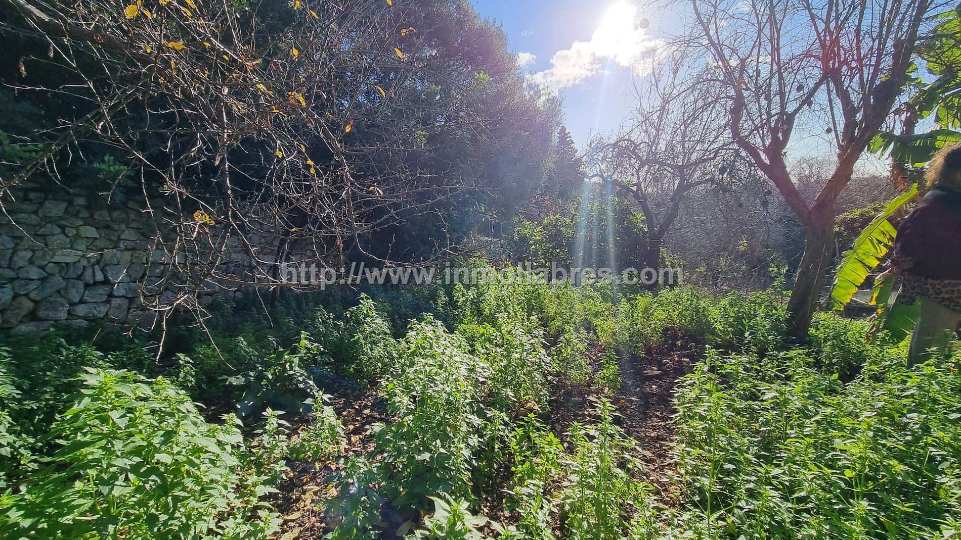 Casa de pueblo en venta en Campanet - Foto 4