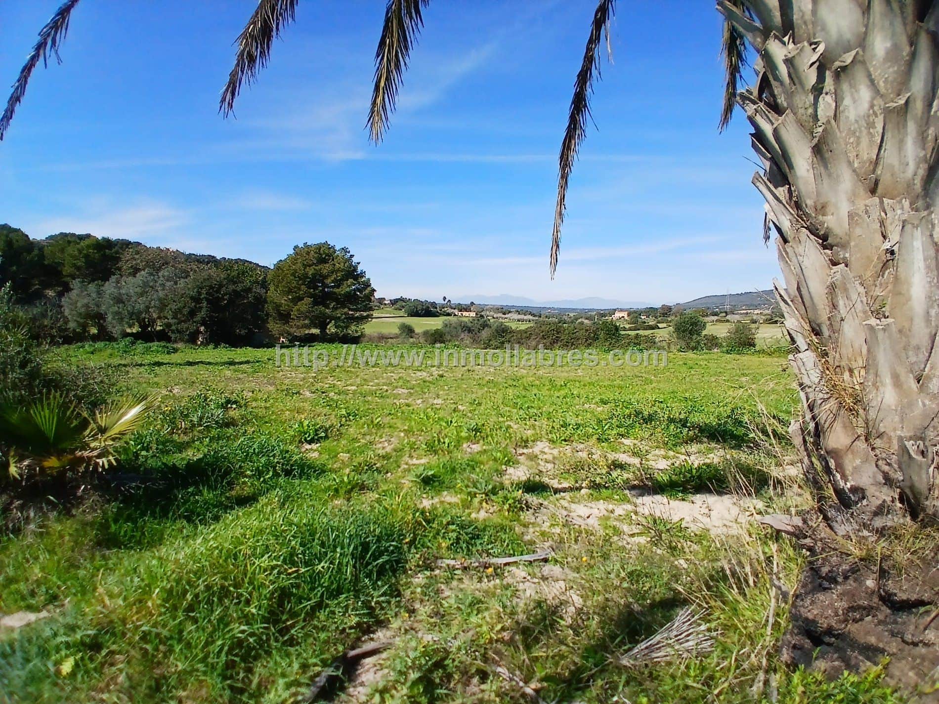 Finca rústica en venta en Manacor - Foto 2