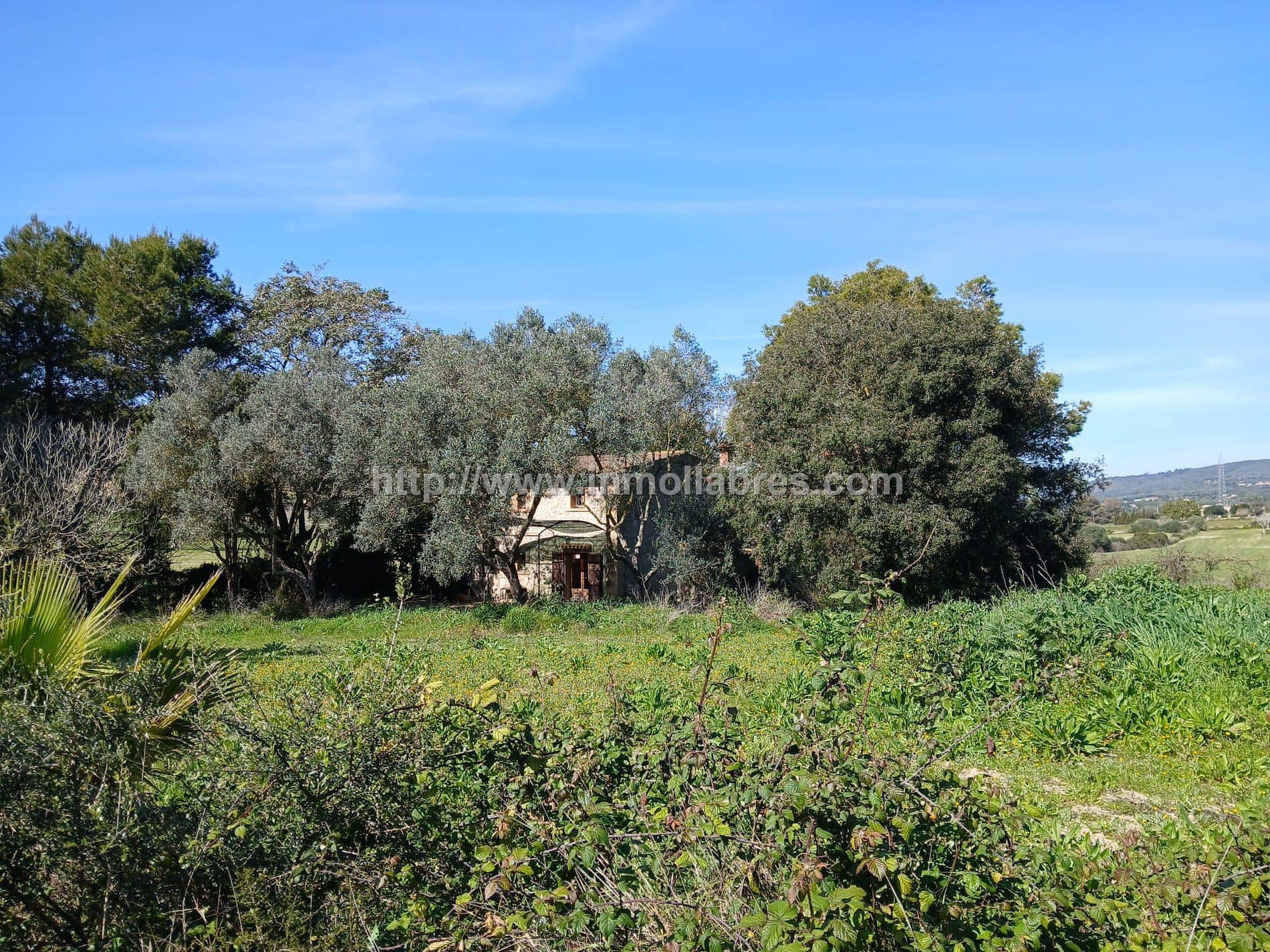 Finca rústica - Manacor - Foto 1