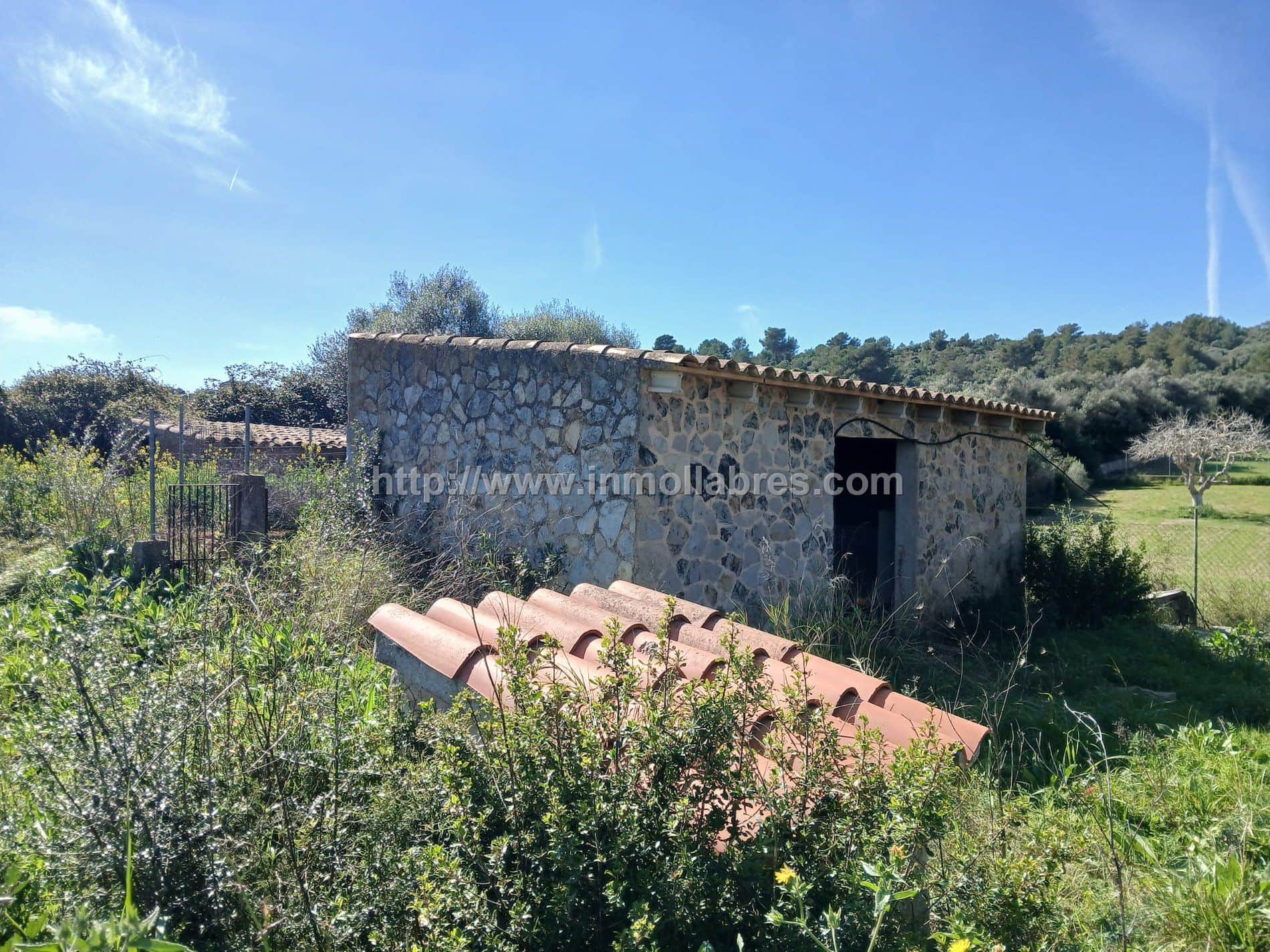 Finca rústica en venta en Manacor - Foto 3