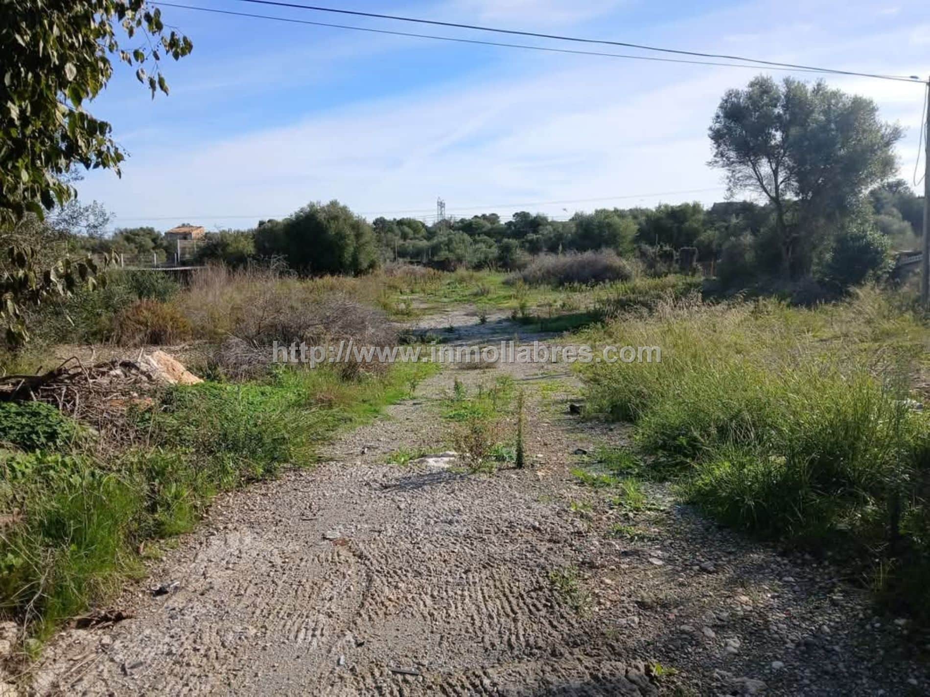 Almacén en venta en Muro, Muro - Foto 4