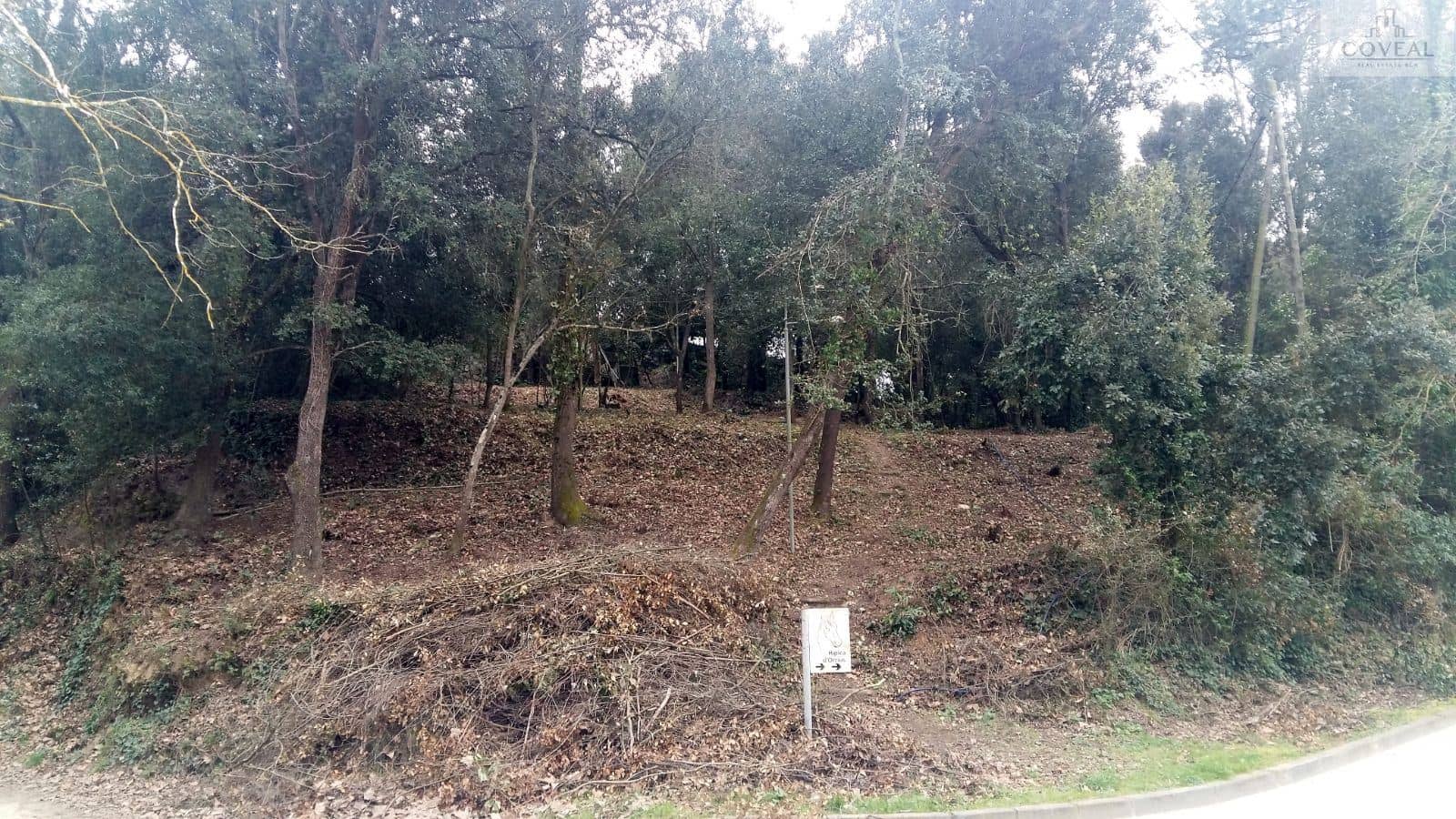 Terreno - Dosrius - Foto 1