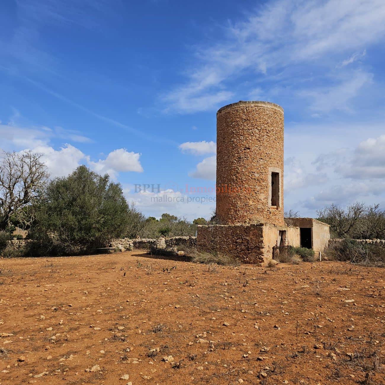 TERRENO EN FELANITX - CAS CONCOS - Foto 2