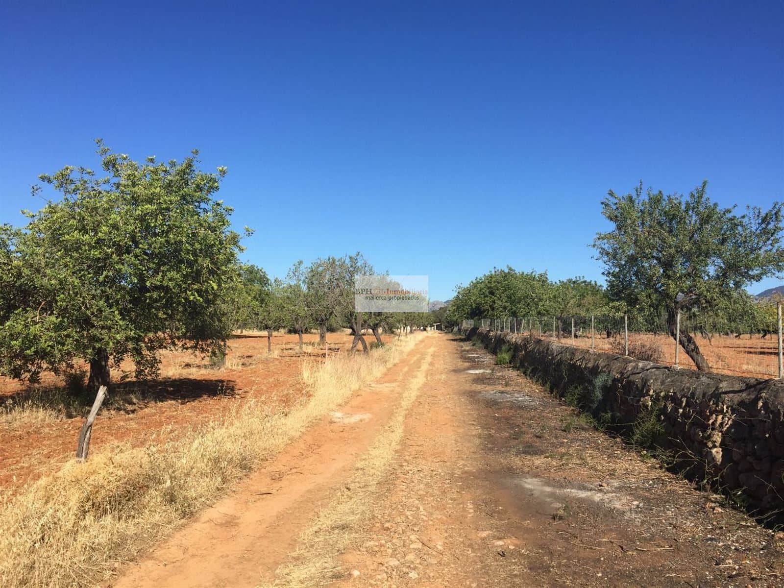 Terreno rústico urbanizable en Bunyola - Foto 3