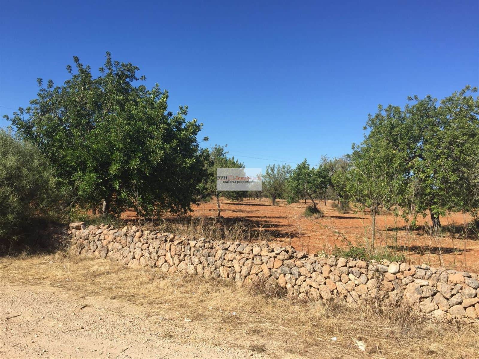Terreno rústico urbanizable en Bunyola - Foto 4