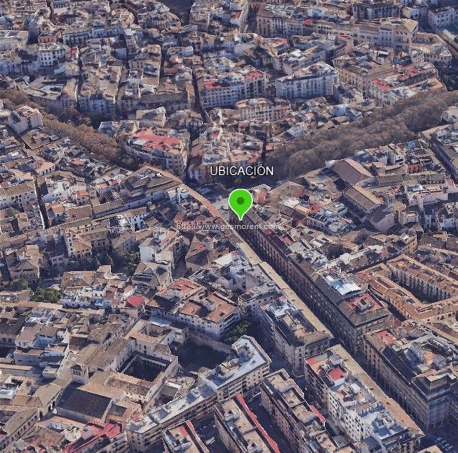 Local comercial - Palma De Mallorca - Foto 1