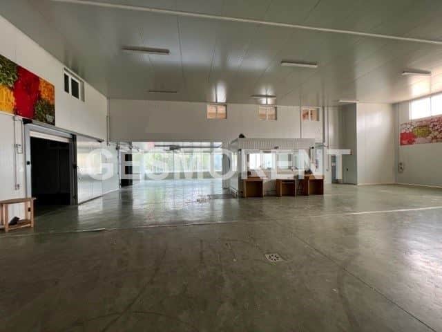 Nave industrial en venta en Sa Pobla - Foto 3