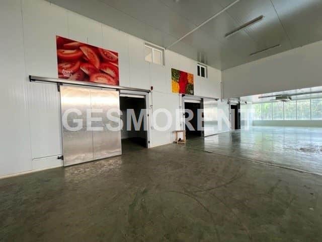 Nave industrial en venta en Sa Pobla - Foto 4