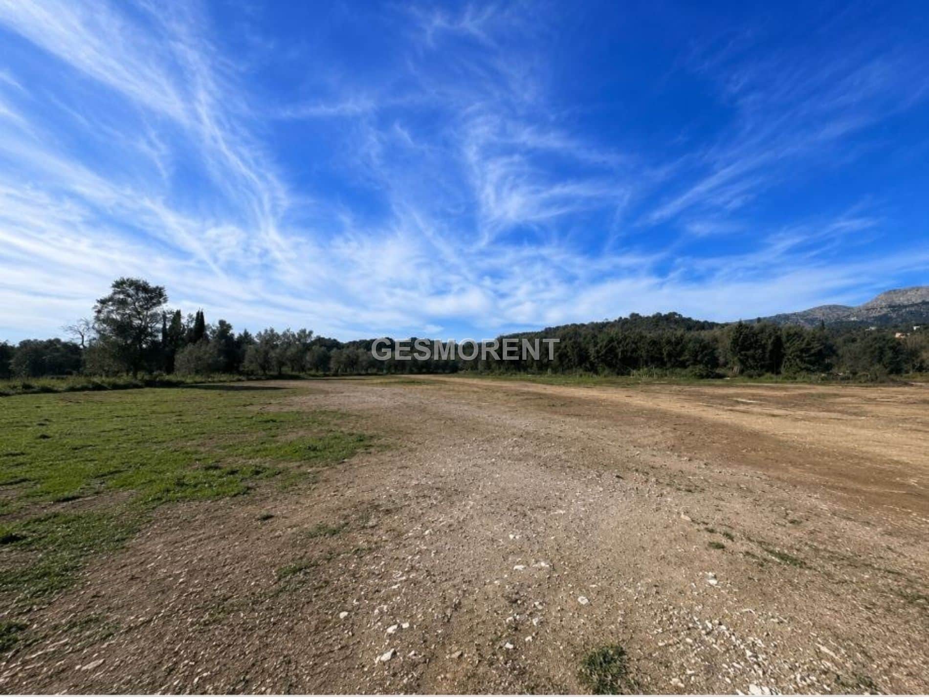 Terreno - Inca - Foto 1