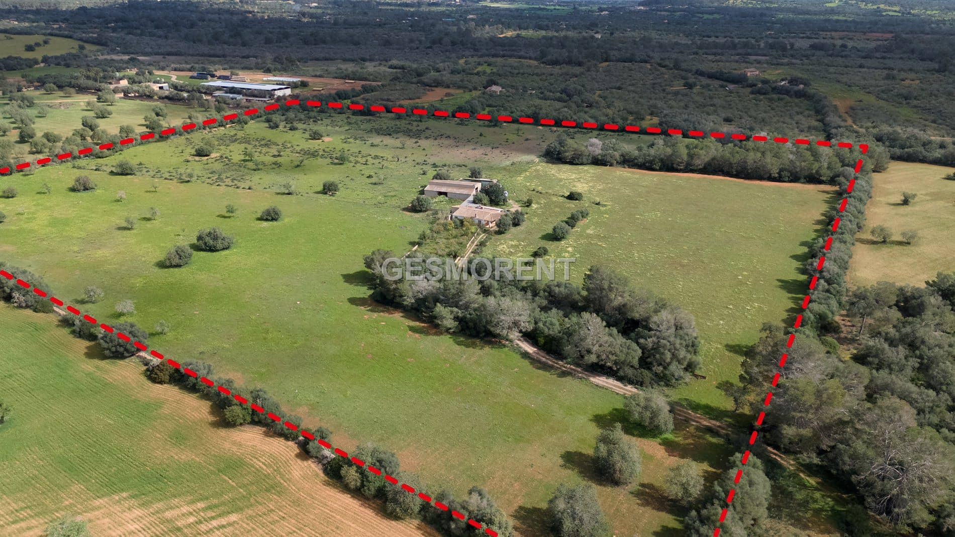 Terreno - Porreres - Foto 1