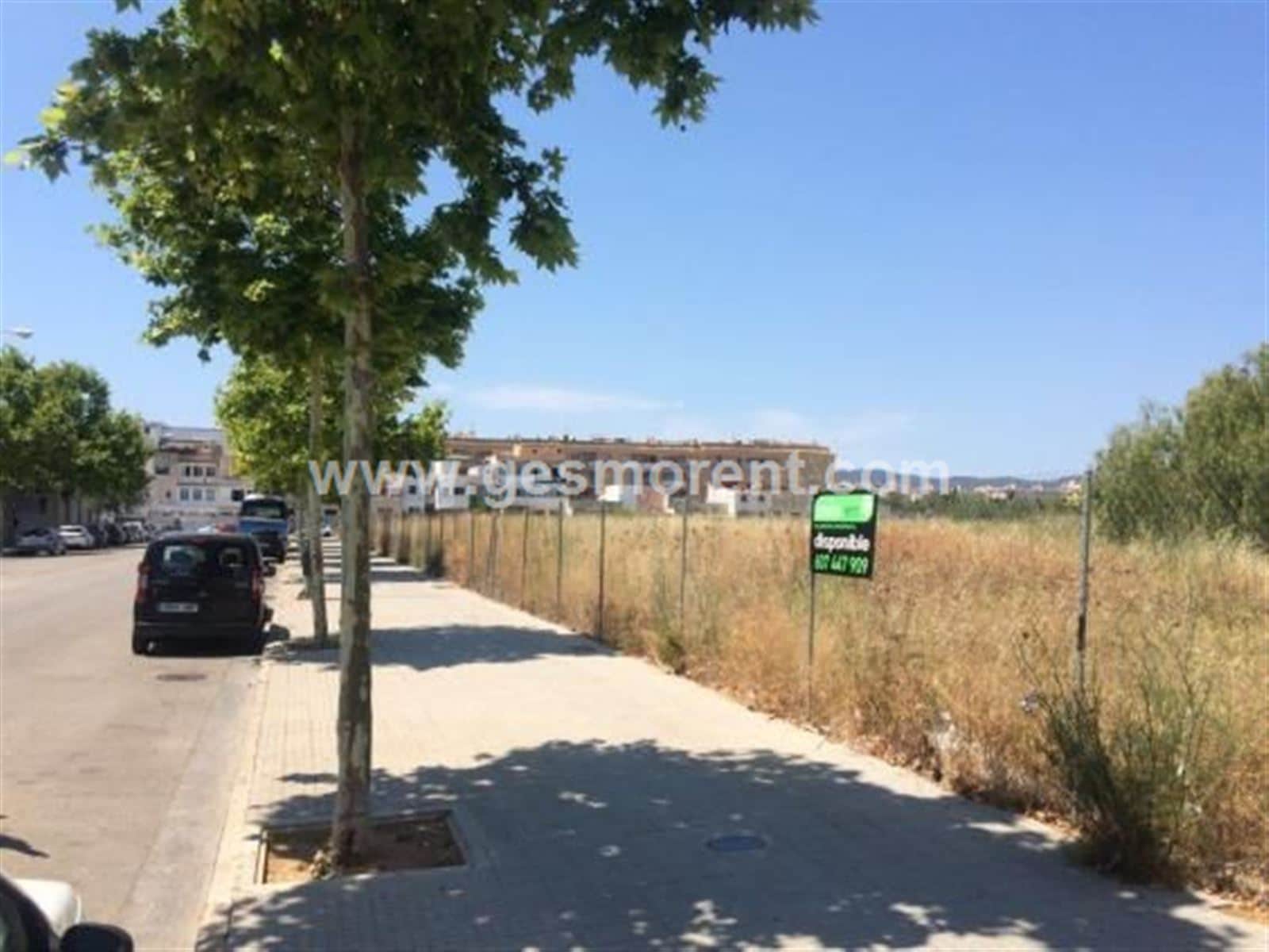 Suelo unifamiliar en venta en Polígono Son Fuster, Palma de Mallorca - Foto 2