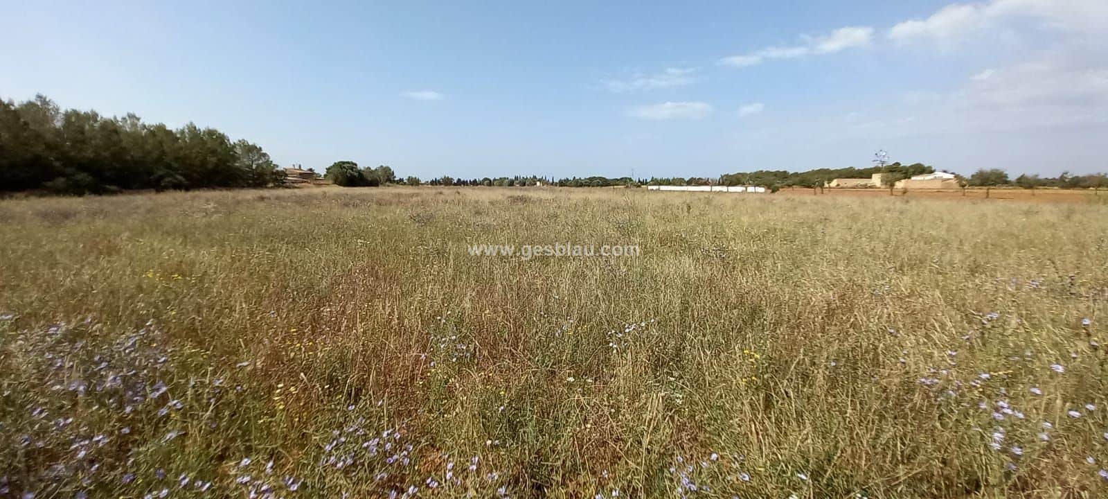 Finca rústica en venta en Sa Rapita, Campos - Foto 4