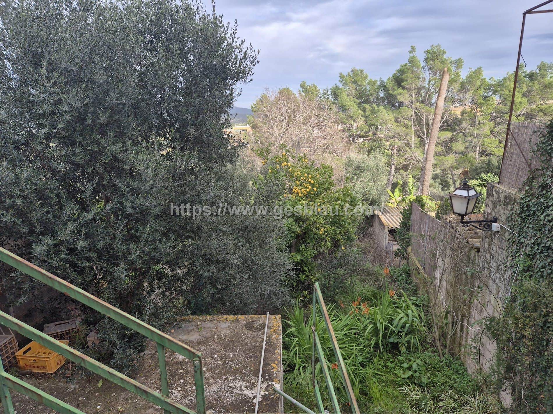 Local comercial en venta en Campanet - Foto 4
