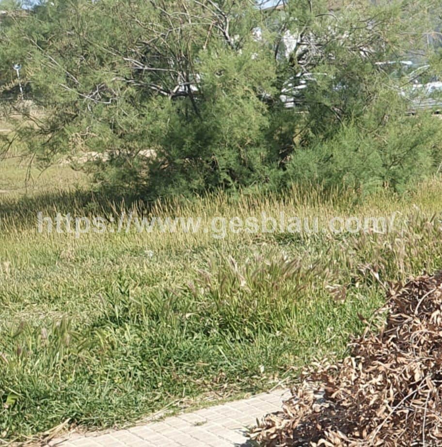 Solar urbano edificable - Foto 2