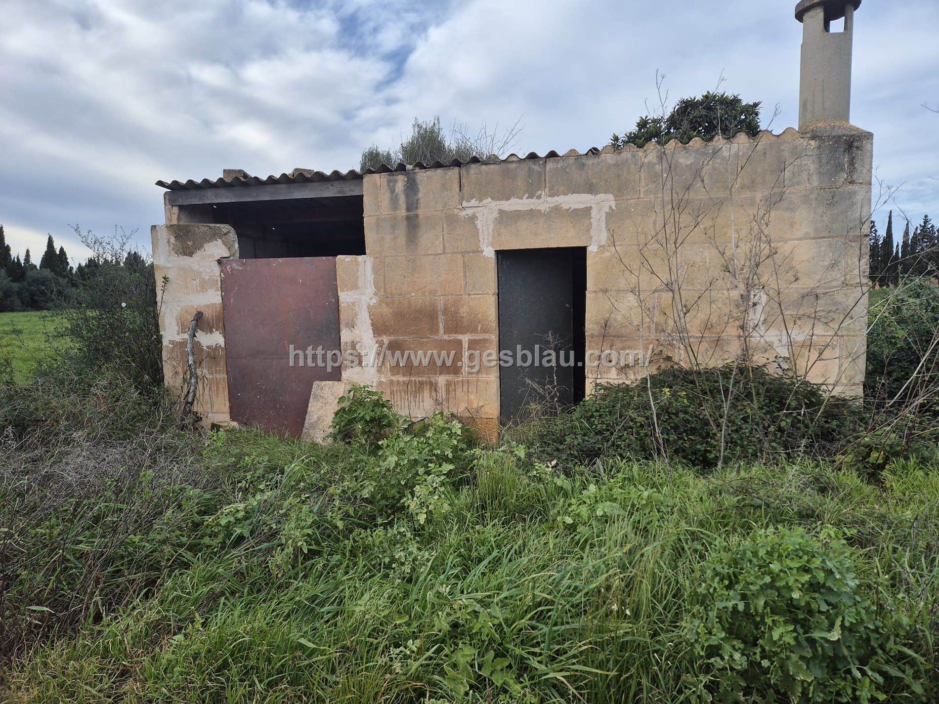 Terreno - Llubi - Foto 1